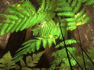 bhop_terrarium thumb 35
