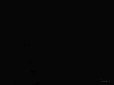 bhop_testroom1 thumb 7