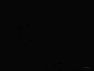 bhop_testroom1 thumb 6