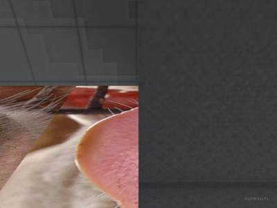 bhop_tisvinja thumb 35