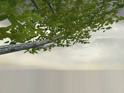 bhop_wacer_0_5 thumb 8