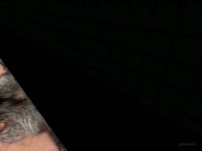 bhop_zeroeffort_fix thumb 60