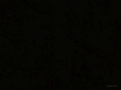 blaze_hide_and_seek_v1 thumb 17