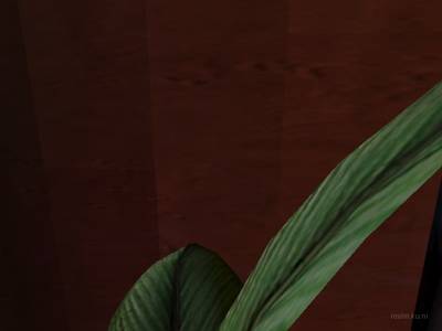 boite_de_nuit_thony thumb 10