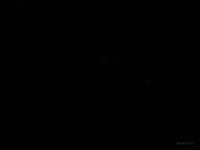 boxbasic1 thumb 18