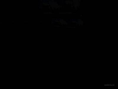boxbasic1 thumb 17