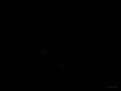 boxbasic1 thumb 9