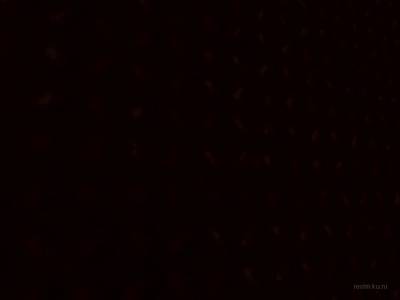 breakfloor_abcore thumb 13