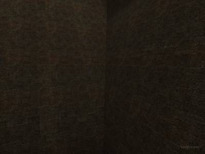breakfloor_aztec_v2 thumb 8