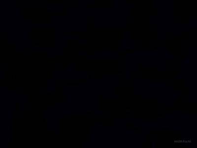 breakfloor_extreme thumb 77