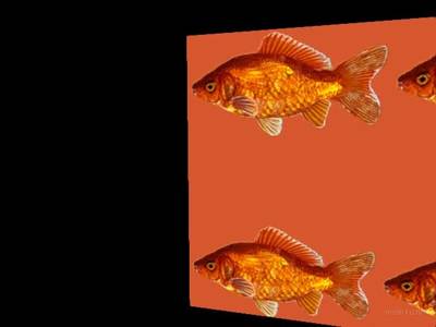 breakwallz_goldfish thumb 11