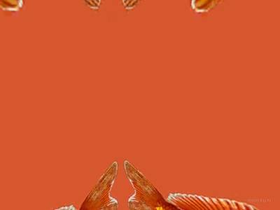 breakwallz_goldfish thumb 13