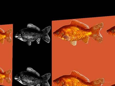 breakwallz_goldfish thumb 17