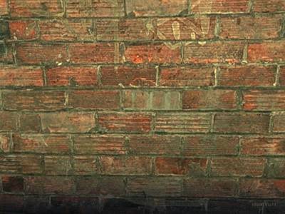 brick_division thumb 46