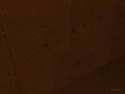 can thumb 62