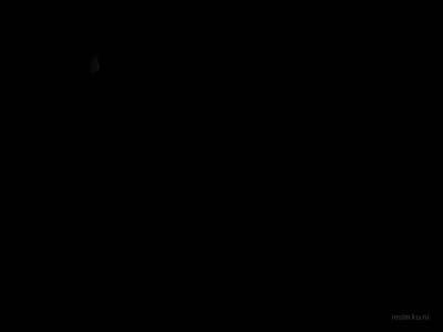 cell_p thumb 36