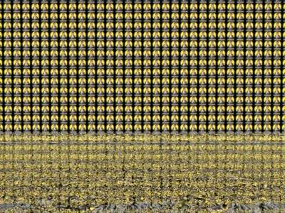 checkertest6 thumb 15