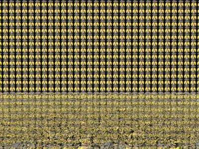 checkertest7 thumb 15