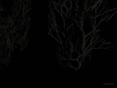 chupong2 thumb 91