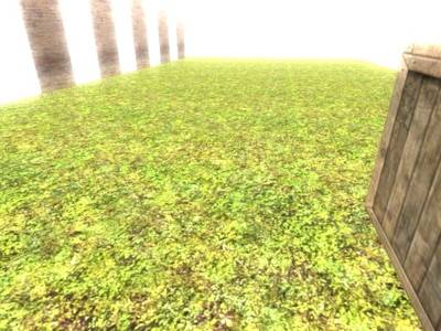 co_arena thumb 16