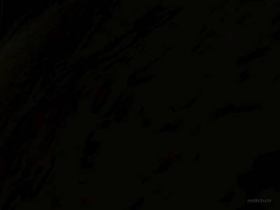 col_blackforest thumb 3