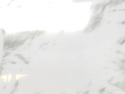 crazylaw_z thumb 13