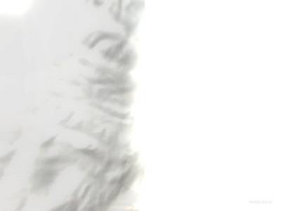 crazylaw_z thumb 12