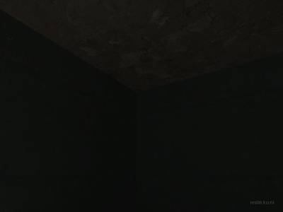 cs_albatross thumb 7