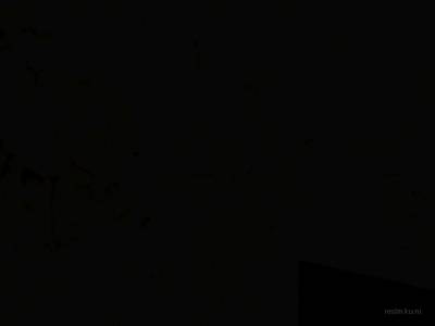 cs_barratt thumb 10