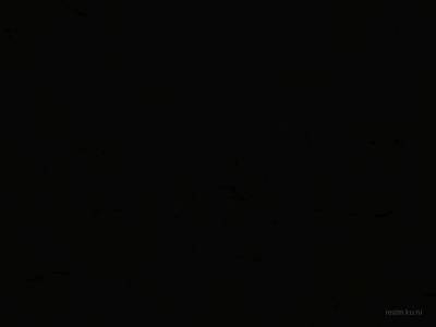 cs_barratt thumb 15