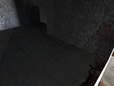 cs_bedbugs thumb 12