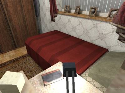 cs_bedbugs thumb 8