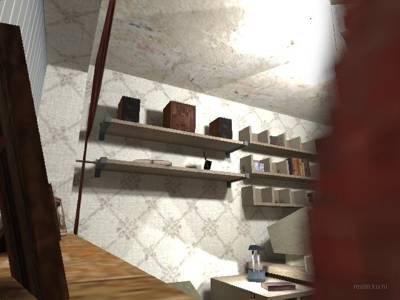 cs_bedbugs thumb 4