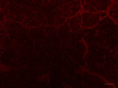 cs_blackmesa thumb 5