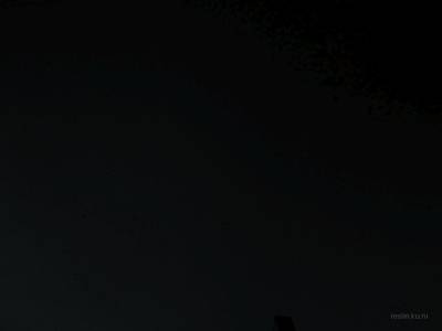 cs_carnival thumb 5