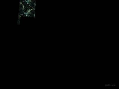 cs_carter thumb 14