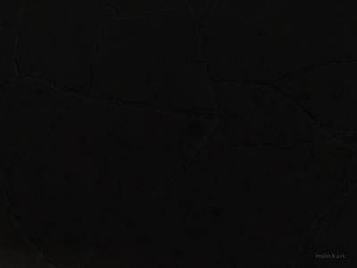 cs_concrete_k thumb 19