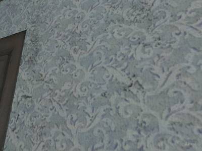 cs_countryhome_b thumb 21