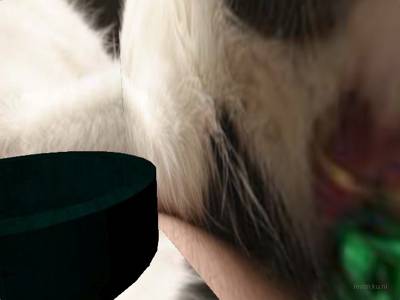 cs_fastfirev5(final) thumb 3