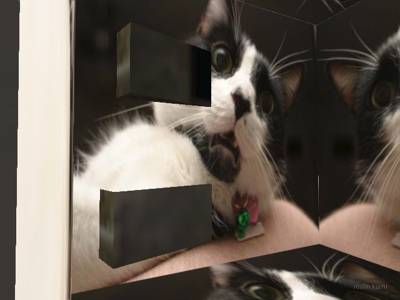 cs_fastfirev5(final) thumb 11