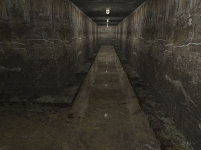 cs_homegrown thumb 22