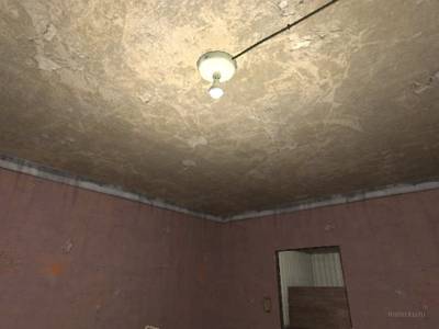 cs_homegrown thumb 26