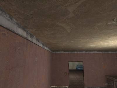 cs_homegrown thumb 25