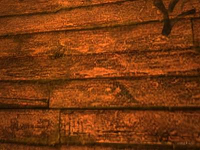 cs_hostelity thumb 25