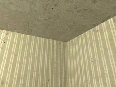 cs_house_mp thumb 11