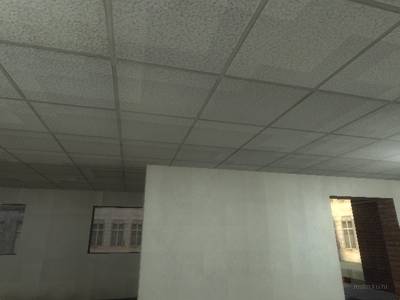 cs_kelaoffice thumb 8