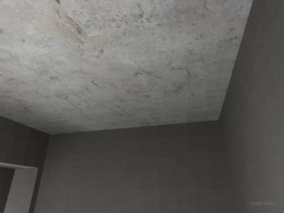 cs_kennyshouse thumb 8