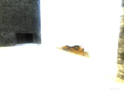 cs_last_fortress thumb 16