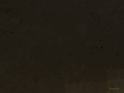 cs_mansion_2_b1 thumb 2