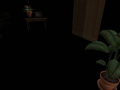 cs_mansion_bftw_night thumb 23